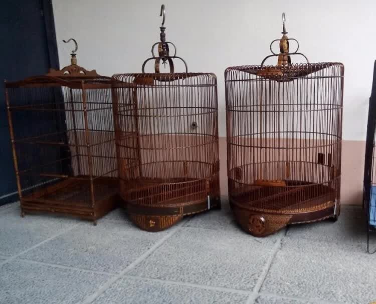 cara-memilih-sangkar-untuk-murai-batu-yang-paling-tepat-9284314