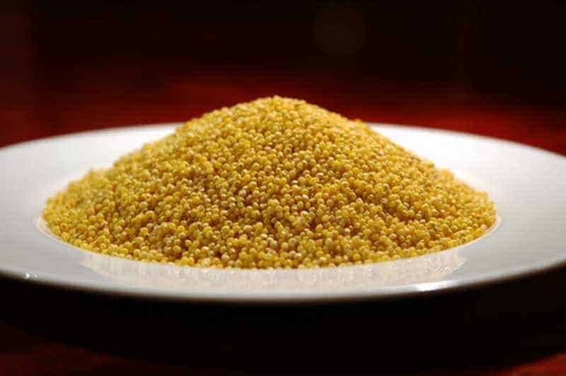 jenis-pakan-burung-cockatiel-2345268