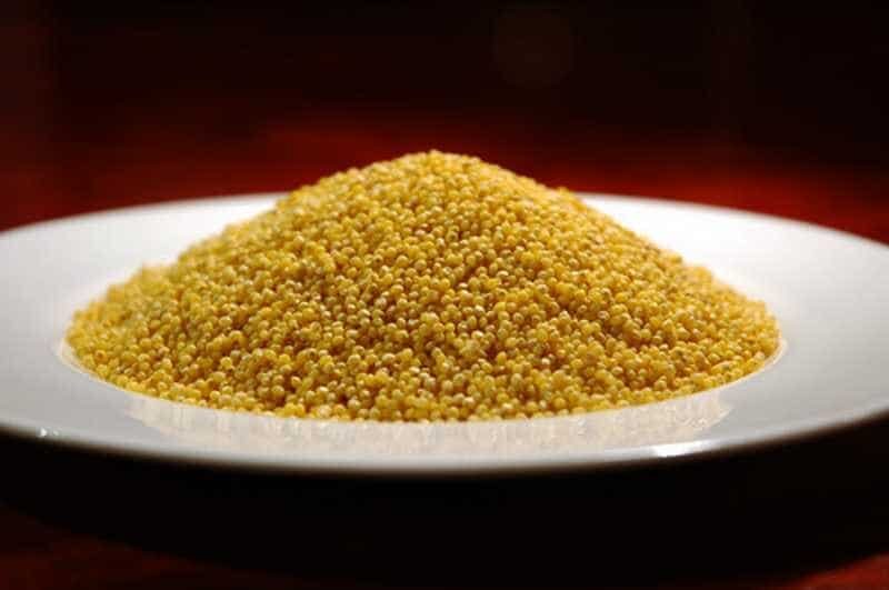 jenis-pakan-burung-cockatiel-4180187