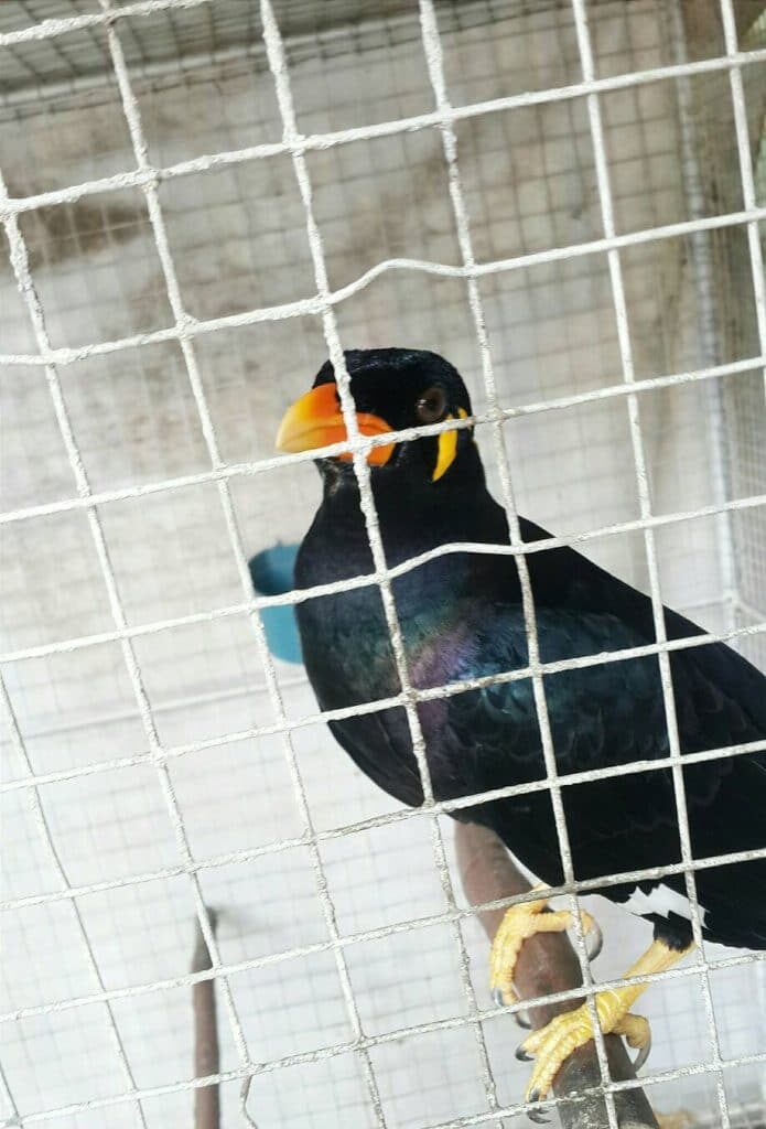 jumaat18-695x1024-5519543