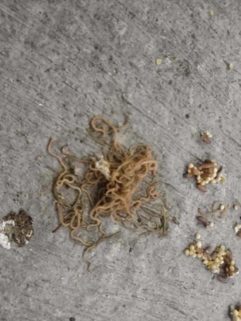 selasa11-768x1024-8940032