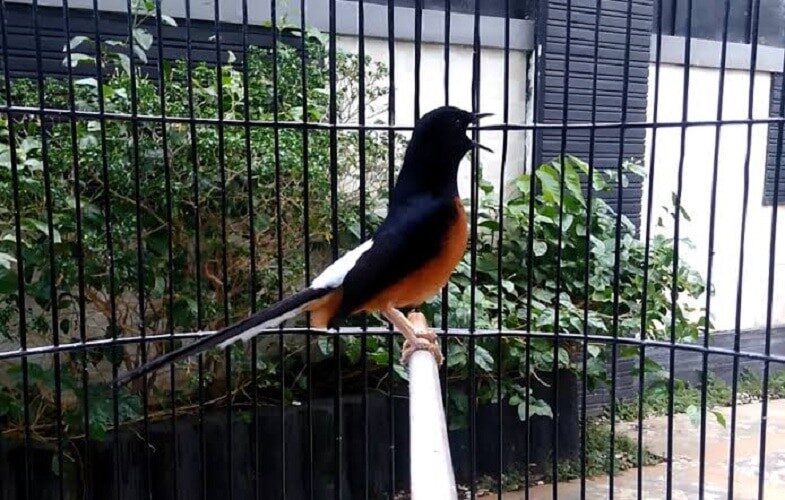 kenali-lebih-dalam-kelebihan-dan-kekurangan-suntik-putih-4557443