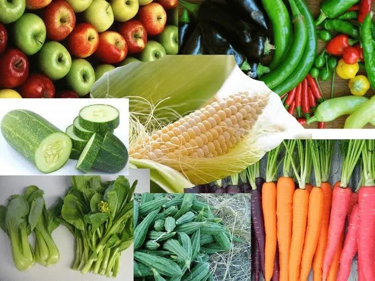 makanan-tambahan-kenari-merah-8345447