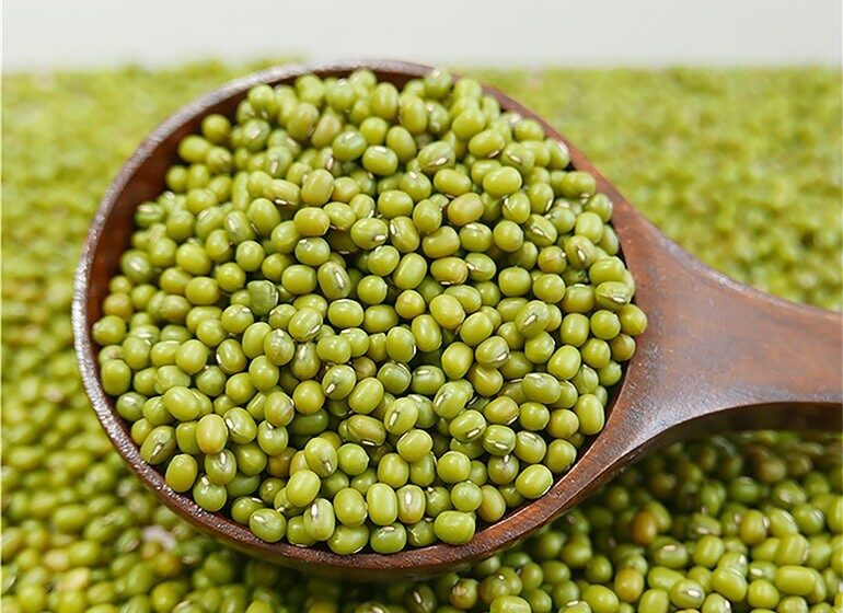 manfaat-kacang-hijau-untuk-lovebird-8040914